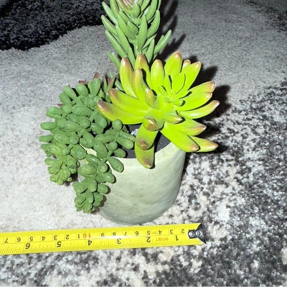 Plant succulent in pot green rocks Green Succulent Arrangement in Gray Planter